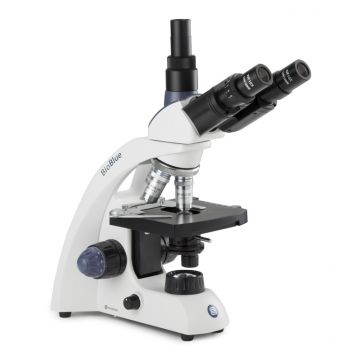 Euromex - BioBlue - BB.4243 - 1W NeoLED - Trinocular - 40x-600x