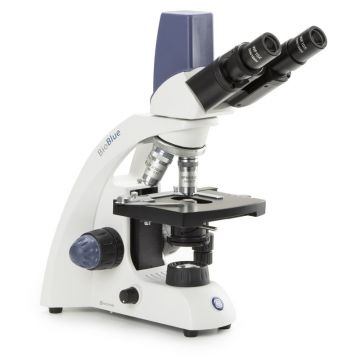 Euromex - BioBlue - BB.4269 - 1W NeoLED - Binocular - 40x-600x