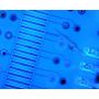 [AM4115T-FUW] Dino-Lite Digital Microscope (USB 2, 1.3MP) 375nm UV-LED - 20-220x thumbnail