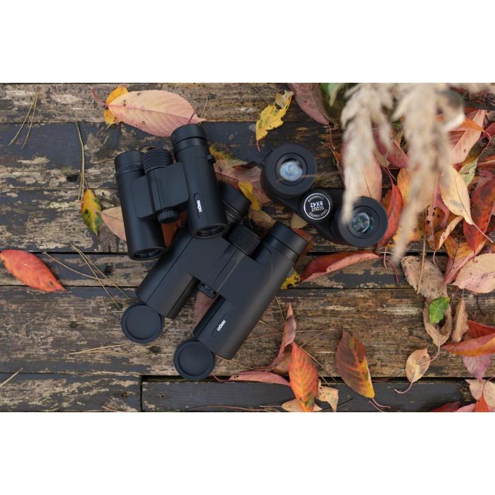 Dörr -  Roof Prism Binoculars - Scout - 10x42