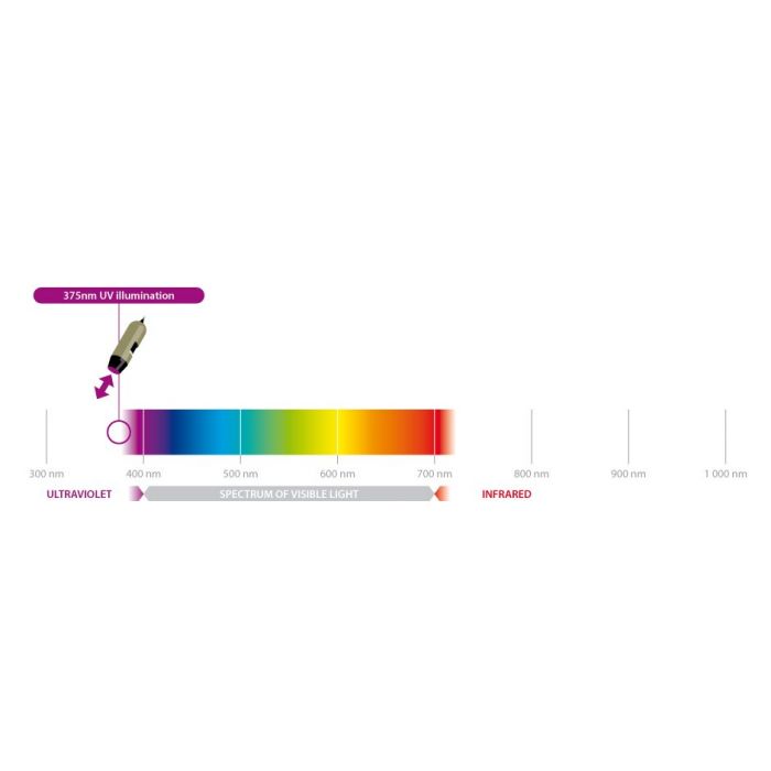 [AM4115T-FUW] Dino-Lite Digital Microscope (USB 2, 1.3MP) 375nm UV-LED - 20-220x