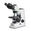 Category Phase Contrast Microscopes image